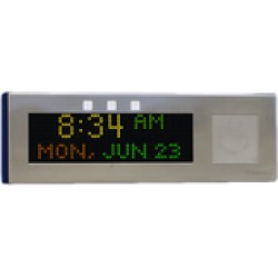 Advanced Network Devices IPCSL-RWB Large IP Clock