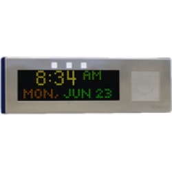 Advanced Network Devices IPCSL-RWB-IC Large IP Clock