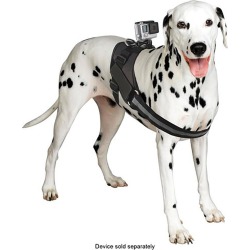Arnés para Perro Bower para GoPro XAS-DS1
