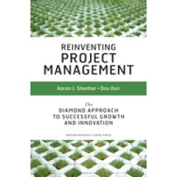 reinventing project management the diamond approach to successful growth an