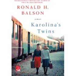 karolinas twins a novel