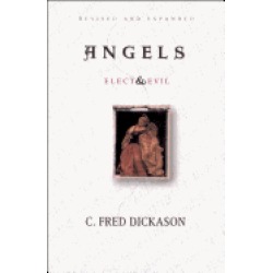 angels elect and evil