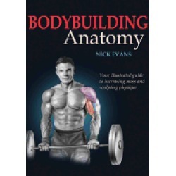bodybuilding anatomy