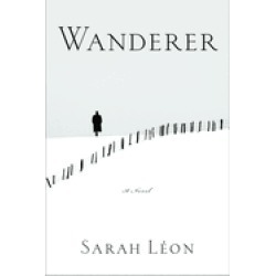 wanderer a novel