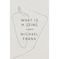 what is missing a novel