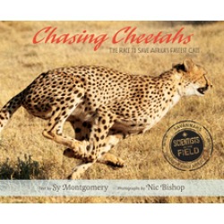 chasing cheetahs the race to save africas fastest cat