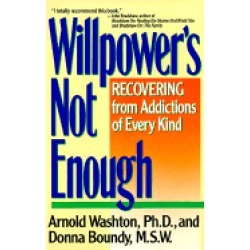 willpowers not enough recovering from addictions of every kind