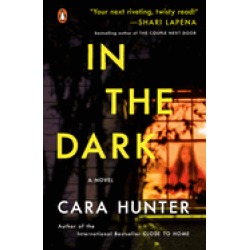 in the dark a novel