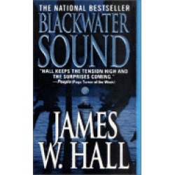 blackwater sound a novel