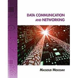 data communication and networking a practical approach