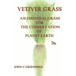 vetiver grass