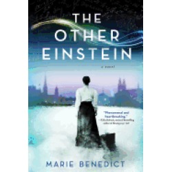 other einstein a novel