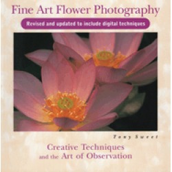 fine art flower photography creative techniques and the art of observation