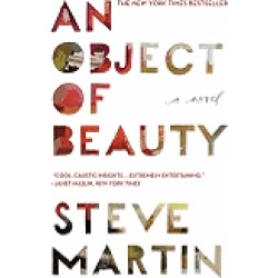 object of beauty a novel
