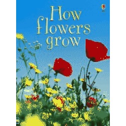 how flowers grow