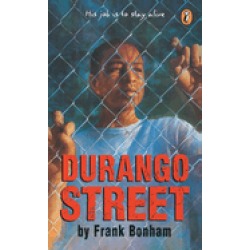 durango street
