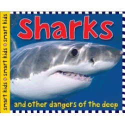 smart kids sharks and other dangers of the deep