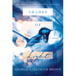 shades of light a novel