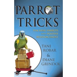 parrot tricks teaching parrots with positive reinforcement