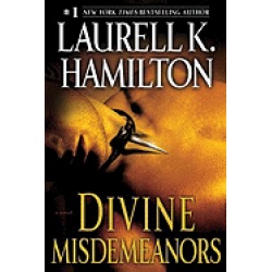 divine misdemeanors a novel