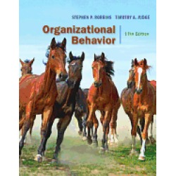 organizational behavior standalone book