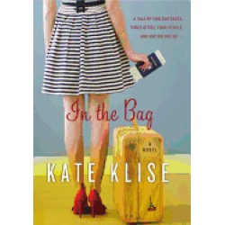 in the bag a novel