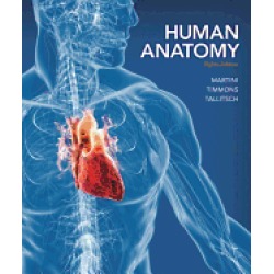 human anatomy standalone book