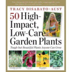 50 high impact low care garden plants