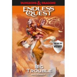dungeons and dragons big trouble an endless quest book