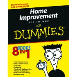 home improvement all in one for dummies