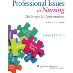 professional issues in nursing challenges and opportunities