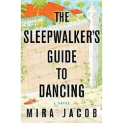 sleepwalkers guide to dancing a novel