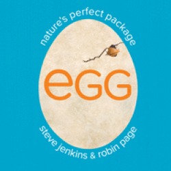 egg natures perfect package