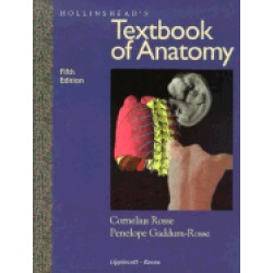 hollinsheads textbook of anatomy