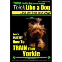 yorkie yorkie dog yorkie training think like a dog but dont eat your poop y