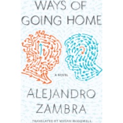 ways of going home a novel