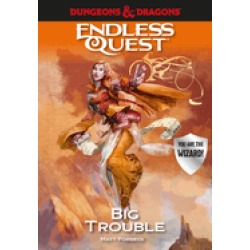 dungeons and dragons big trouble an endless quest book