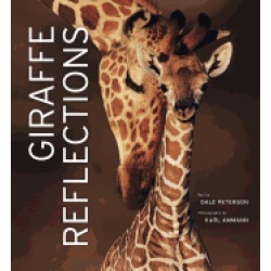 giraffe reflections