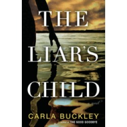 liars child a novel