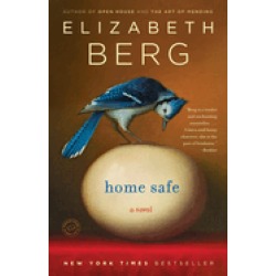 home safe a novel