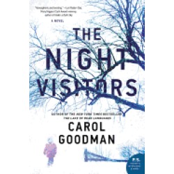night visitors a novel