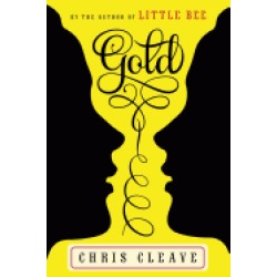 gold a novel