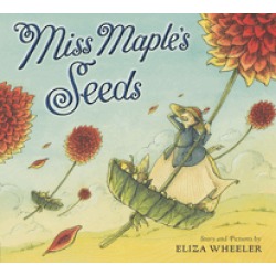 miss maples seeds