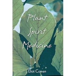 plant spirit medicine the healing power of plants
