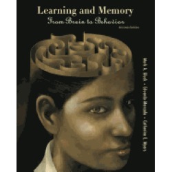 learning and memory from brain to behavior