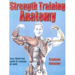 strength training anatomy