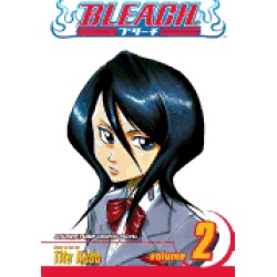 bleach vol 2
