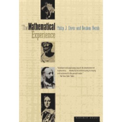 mathematical experience