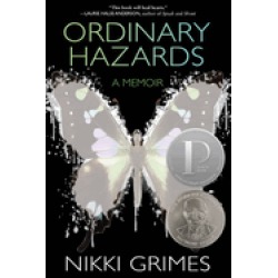ordinary hazards a memoir