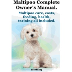 maltipoo complete owners manual maltipoos facts and information maltipoo ca